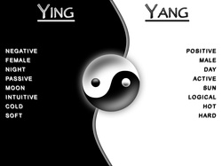 yin:yang